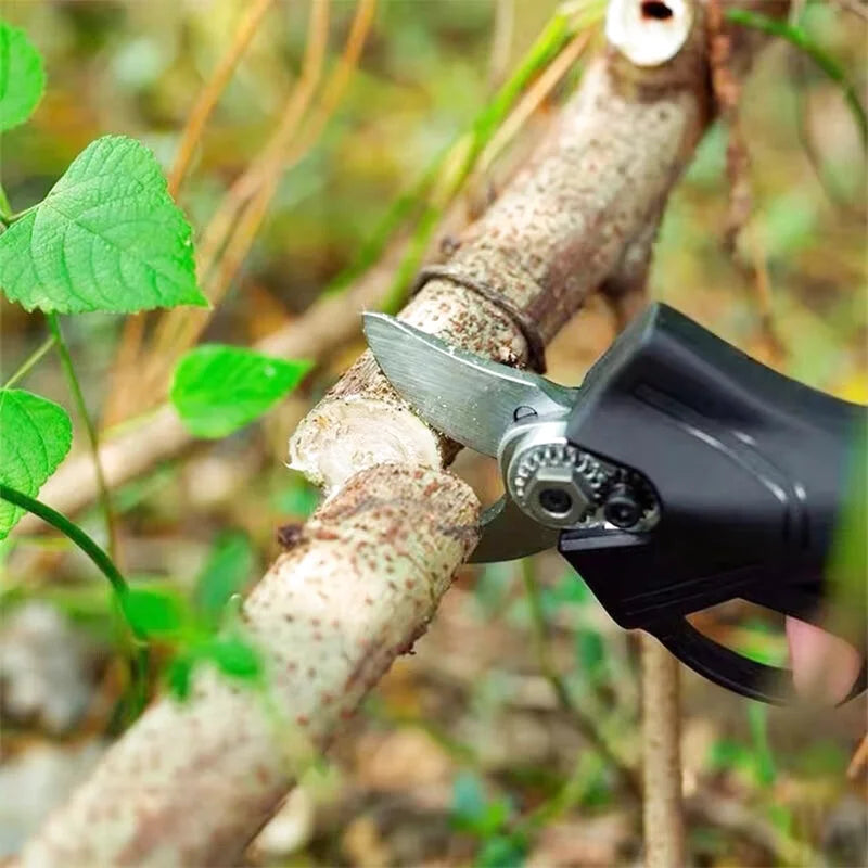 Lames De Sécateur 1-4/pc(s) - photo 3