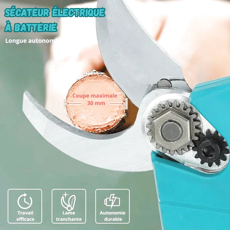 Lames De Sécateur 1-4/pc(s) - photo 2