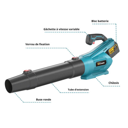 Souffleur De Feuilles Sans Fil Professionnel 20V – Polyvalent, Performant Et Pratique