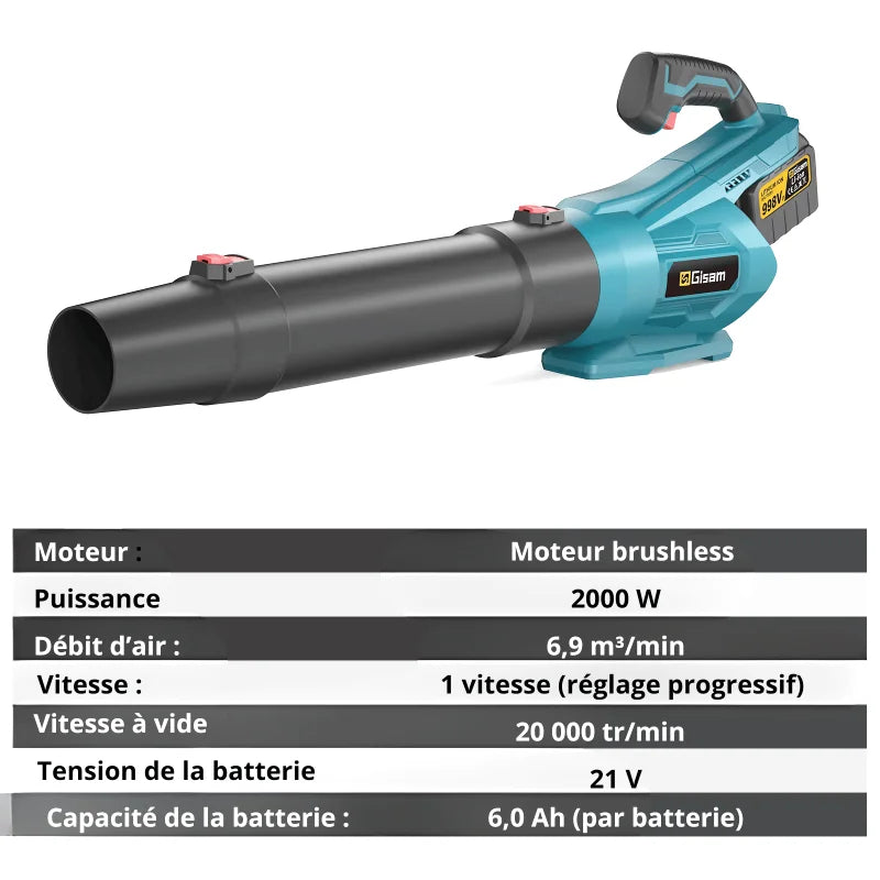Souffleur De Feuilles Sans Fil Professionnel 20V – Polyvalent, Performant Et Pratique - photo 4